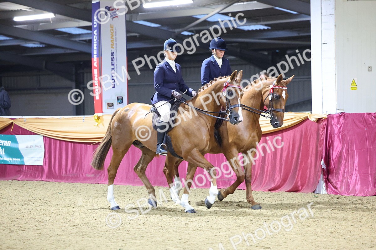 0B8A4326 - Class M Ridden Pairs Champ