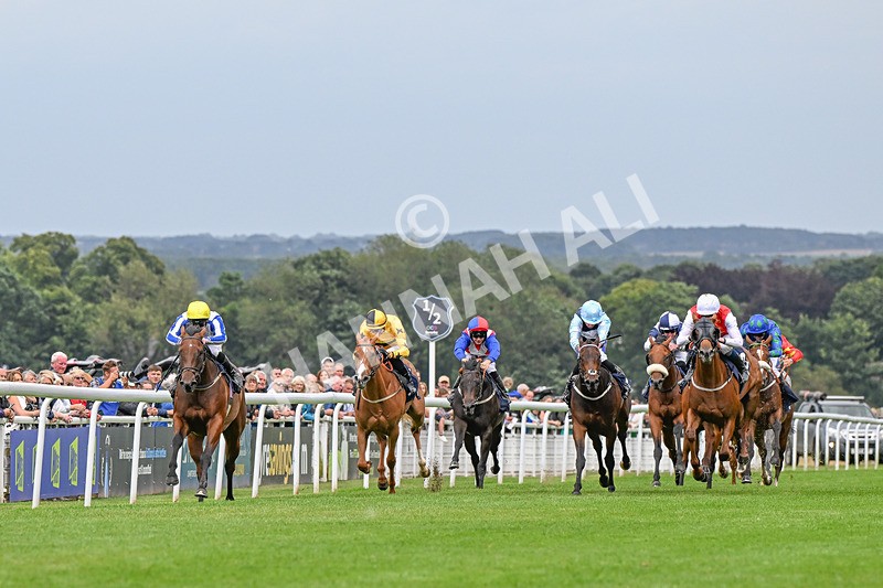 150824-Race 3-Go On Rosie-4140 - Race 3