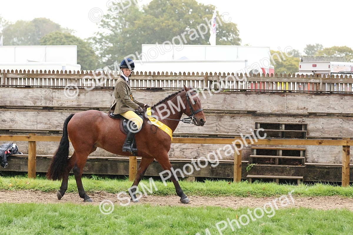 SBM_73096 - Ridden Pony Supreme Championship