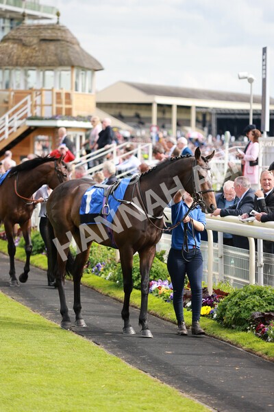 yr21052022r6-6 - Race 6: 4:42pm Yorkshire Regiment Stakes
