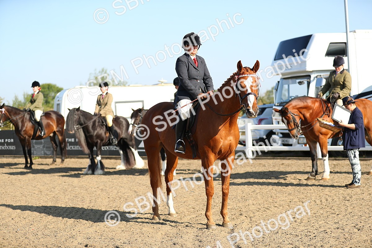 SBM_00447 - Class 41 Best Turned Out Ridden