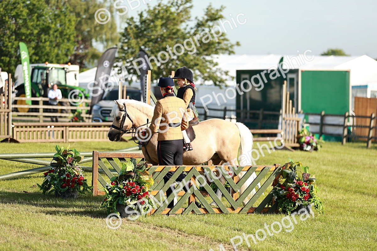 SBM_11121 - Class 106-107 - BSPS LIHS Working Sports Pony