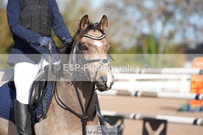 251025-122213-00348 - Cls 8 Pony Winter Pearl Champ Qualifier