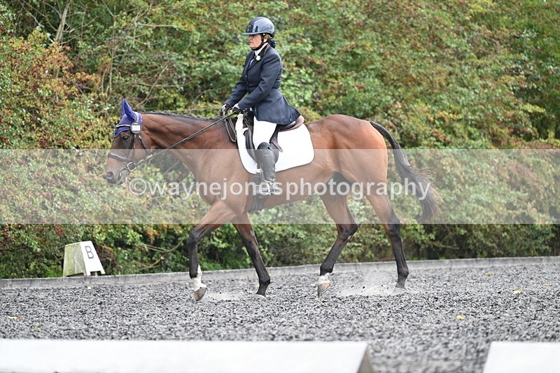 WJ7_6479 - Time 14:49 to 15:14