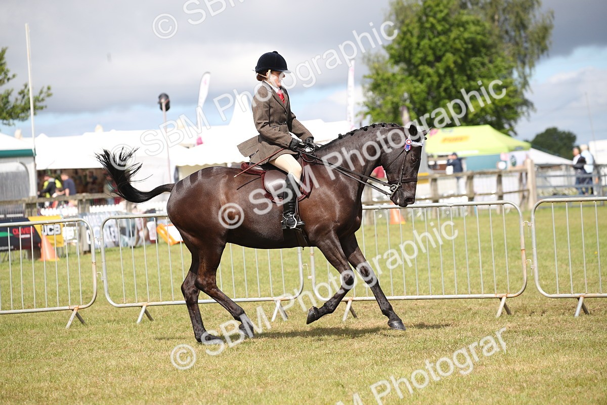 SBM_13201 - Class 95-96 - LIHS BSHA Rising Star Hack Riding Horse