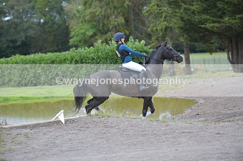 NGP_2984 - XC Time 11:59 to 12:15