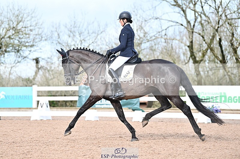 240218A-115639-06922 - 204-Elder.Klatzko-Dynasty.Hit