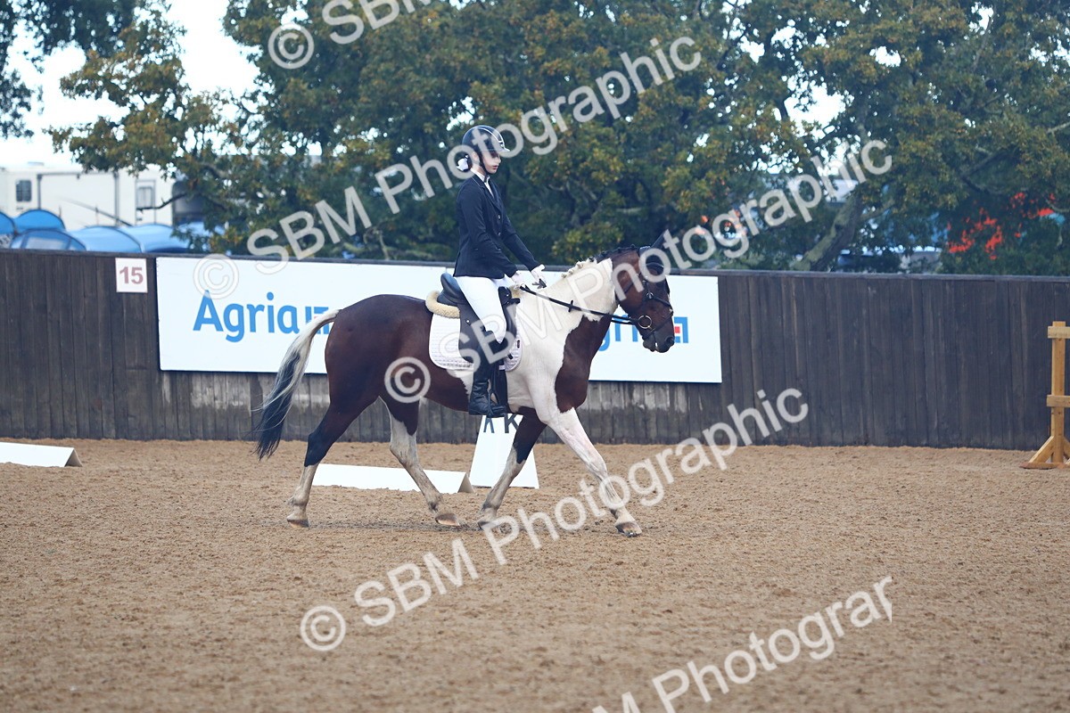 SBM_38880 - D21 - Junior Championship Intro 1