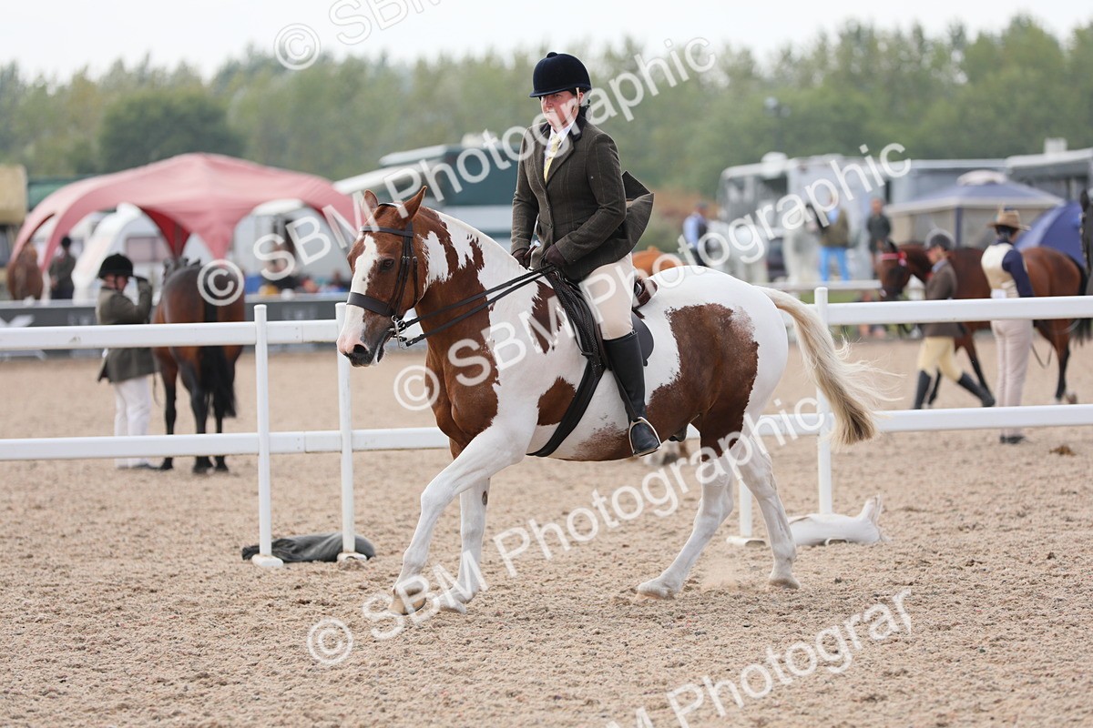 SBM_13400 - Class 308 Ridden Coloured Horse