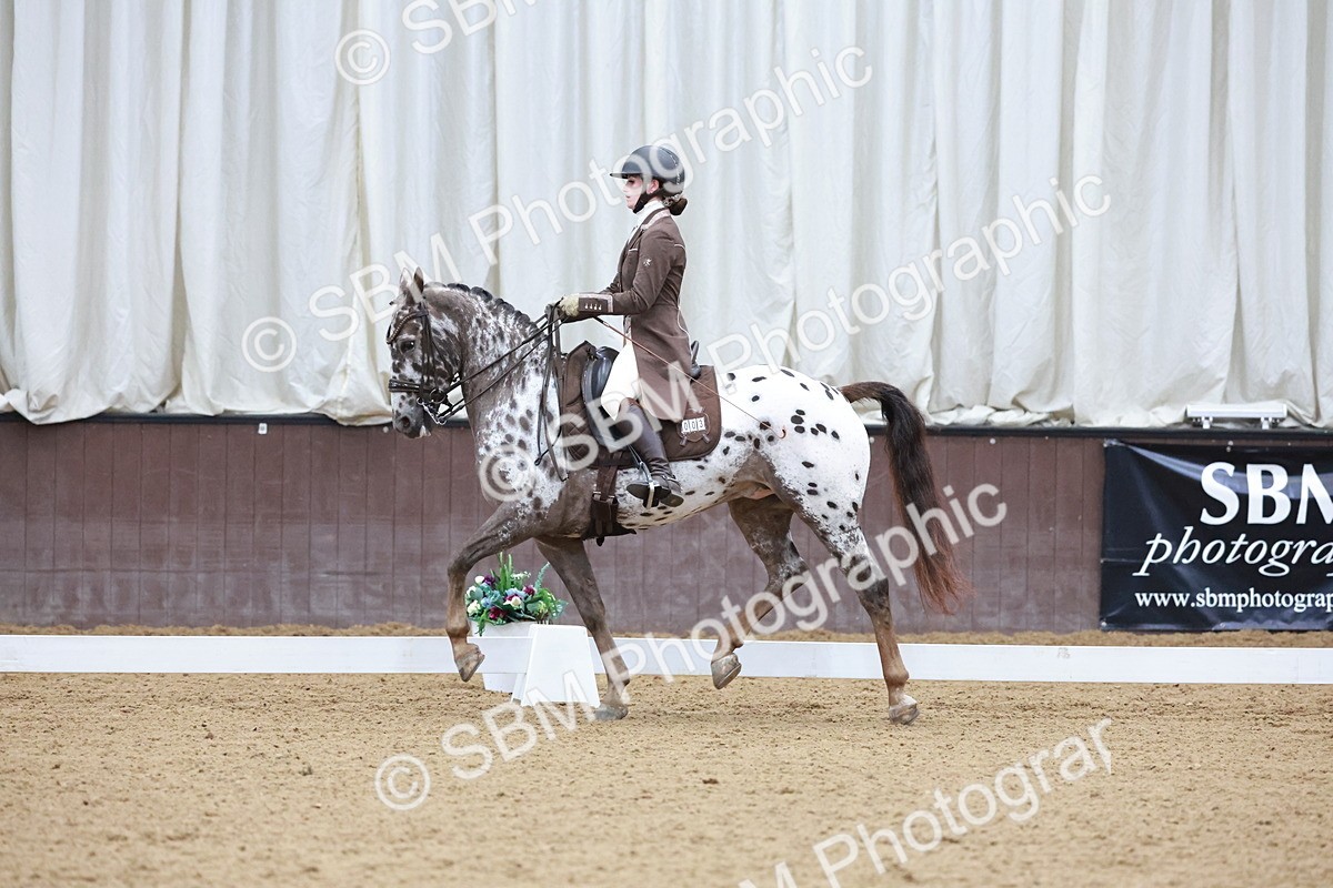 SBM_021367 - Class 14 - FEI Grand Prix - 17.40-18.34