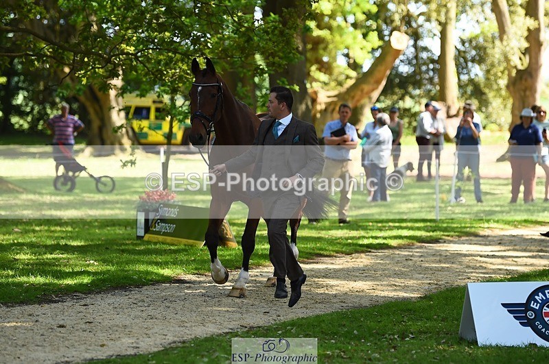 230524-154522-00474 - 365-BWE_NEWTON_DE_JASPER-Adam_Harvey-WEDTrotUp+DR