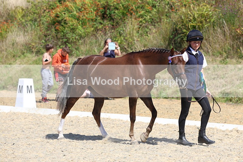 3E7A9795 - In Hand Championship