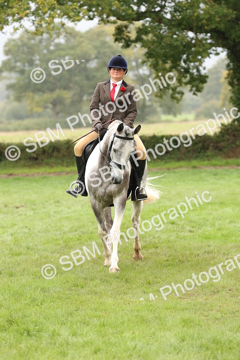 SBM_69903 - S68 - Other Coloured Horse Ridden