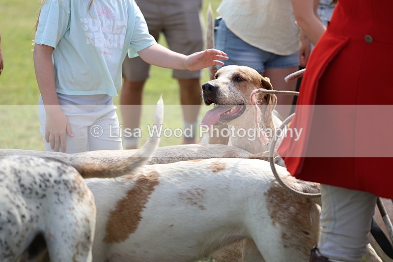 3E7A0200 - Parade of Hounds
