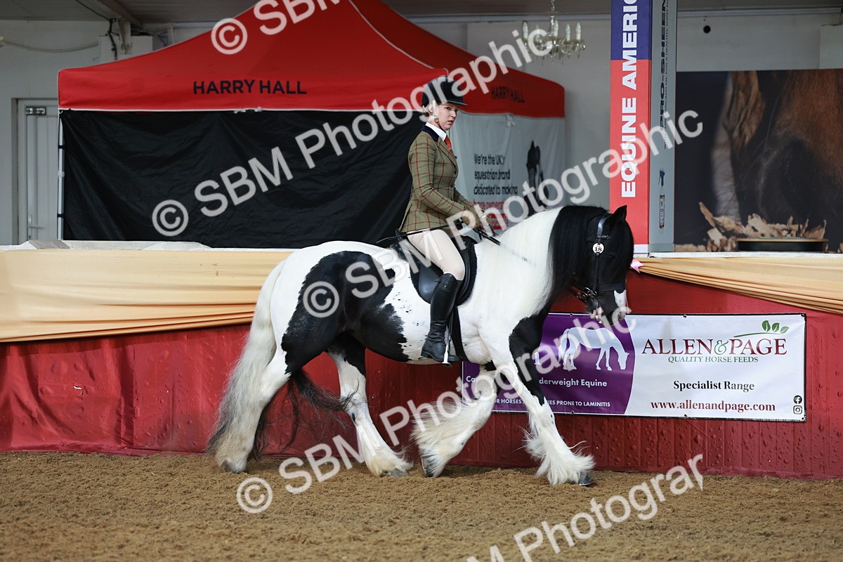 SBM_11810 - Class 102 - Equitation (Best Rider) Adult