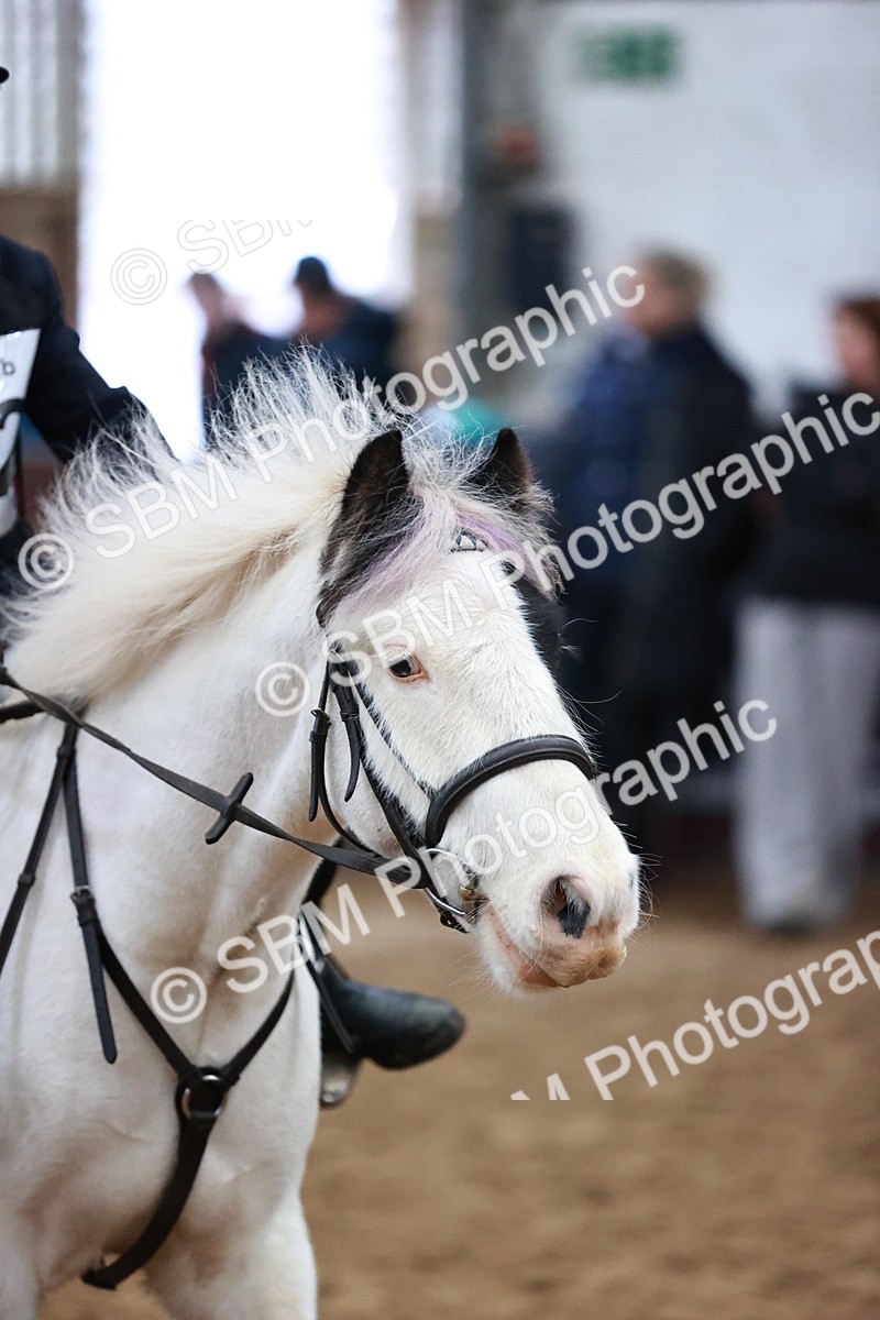 SBM_000301 - Class 1 - Cross Pole Jumping 30cm 40cm