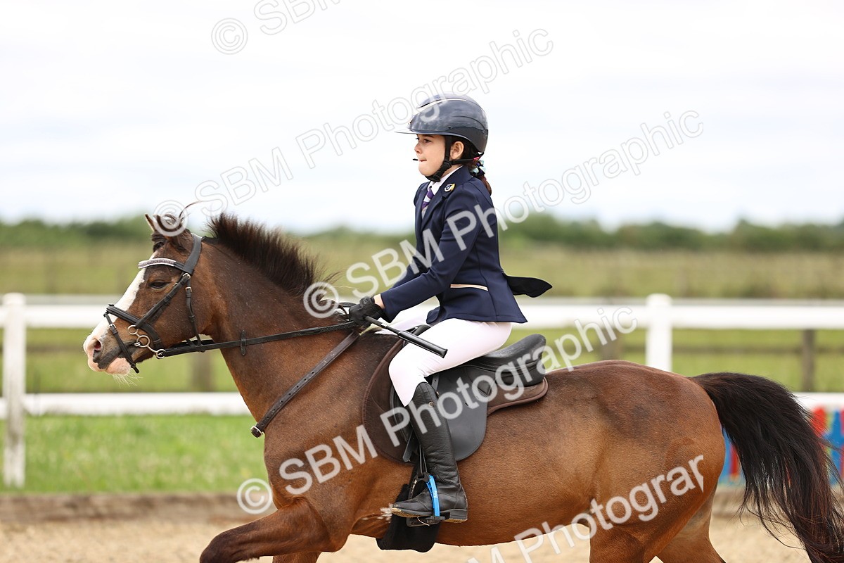 SBM_000119 - 50cm