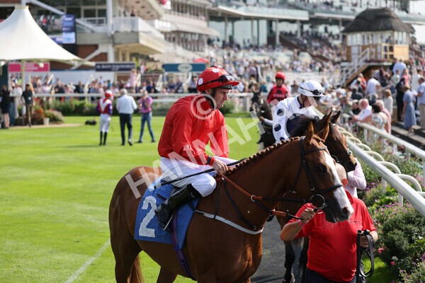 yr05092021r1-10 - Race 1 2.10pm IRE-Incentive It Pays To Buy Irish ebfstallions.com Novice Stakes