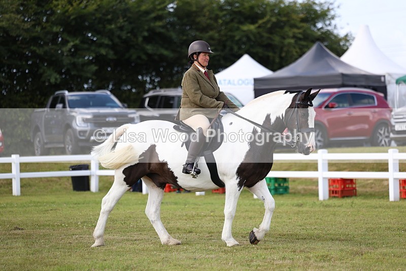 3E7A9615 - Class 5: Rising Star Lightweight/Heavyweight Cobs