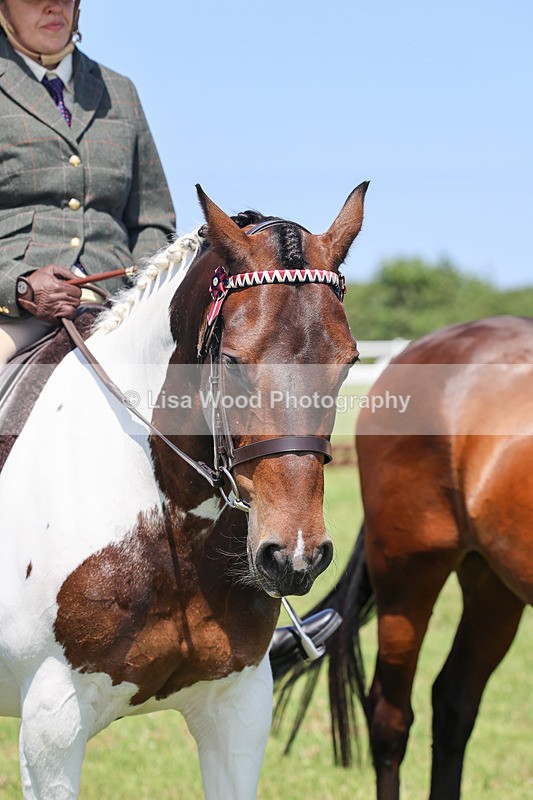 IMG_2551 - Class 38: Veteran Ridden