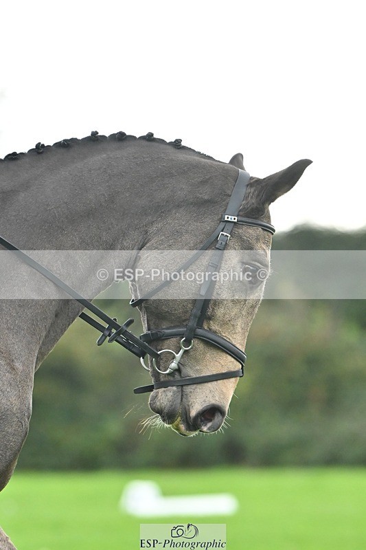 241024-114434-02468 - 319-Neve.Webber-MR.BUZZ