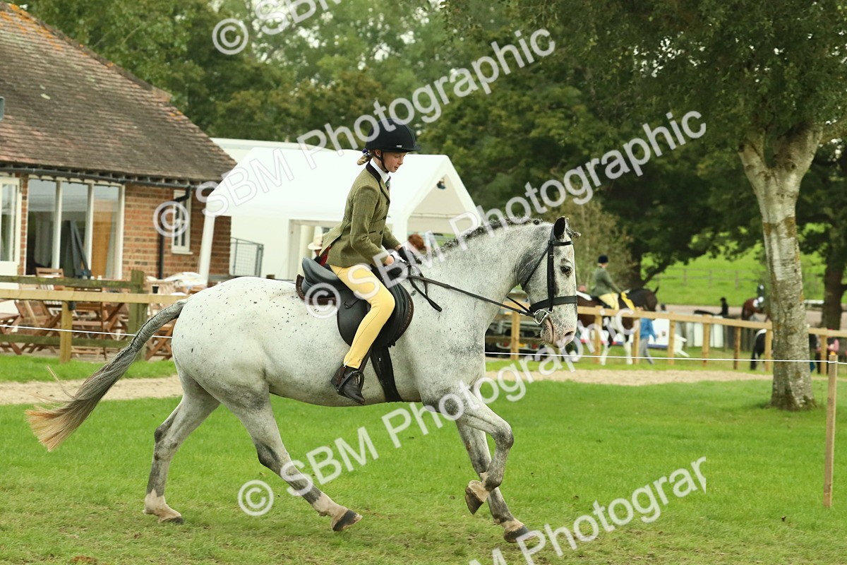 SBM_74064 - S 61 - Show Pony & Show Hunter Pony Ridden