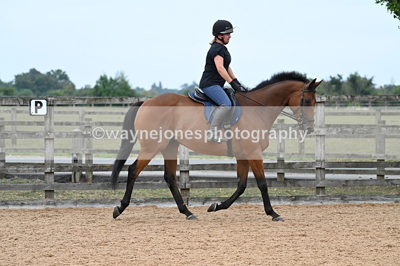 WJ7_8251 - Poles 11:00am