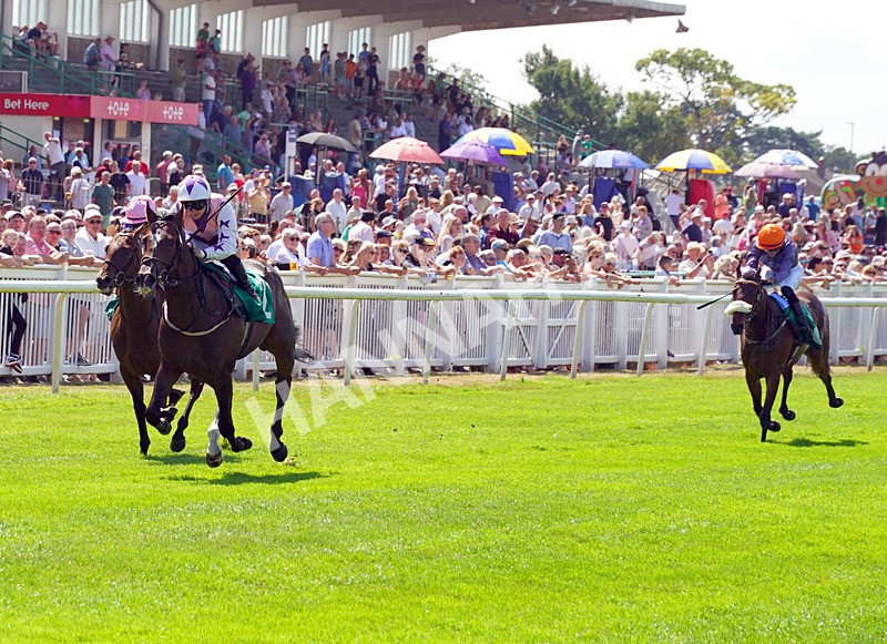 240726-Race 2-Blakey Ridge-01110 - Race 2 14.30pm Sky Bet For The Fans EBF Novice Stakes