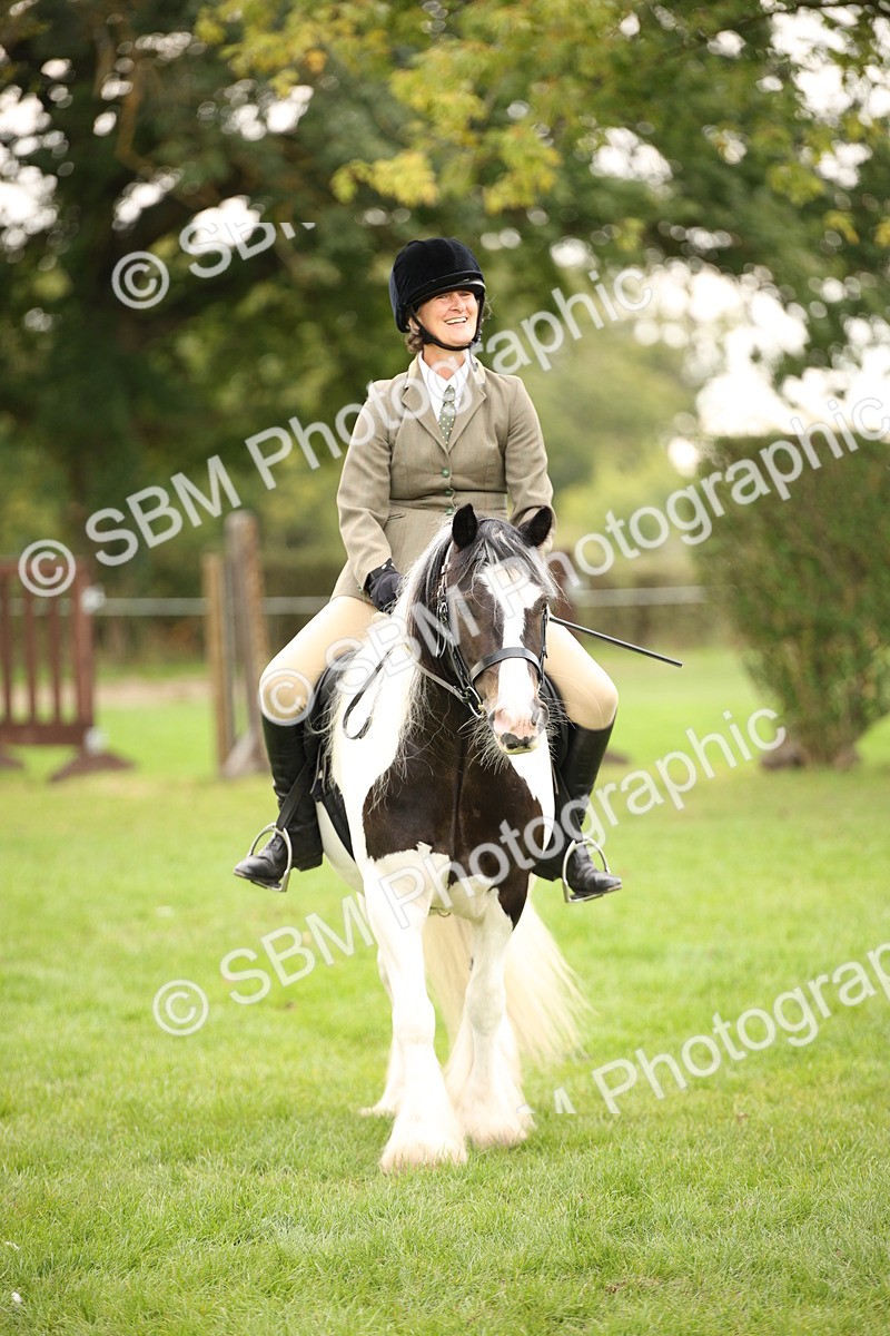 SBM_73549 - S68 - Traditional Cob Ridden