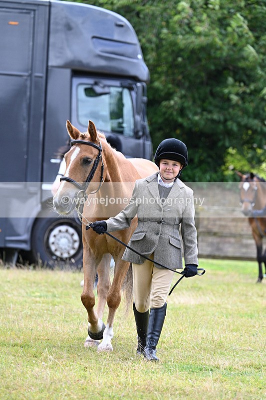 WJ7_6471 - Class 5 Handsome Gelding in hand