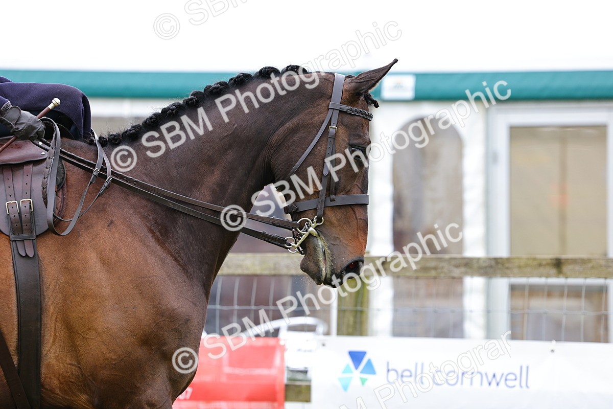 SBM_02855 - Class 9-11 Side Saddle including LIHS Rising Star Ladies Show Horse