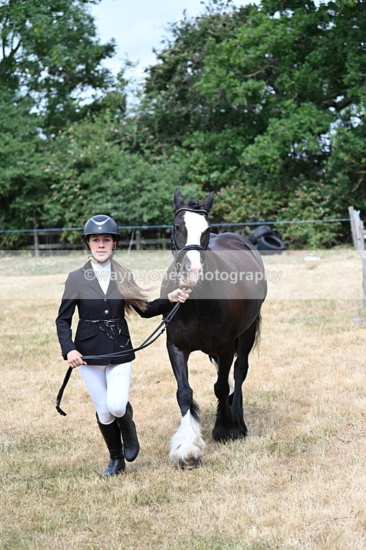 WJ7_1670 - Class 4 Prettiest Mare up to 14.2hh in hand