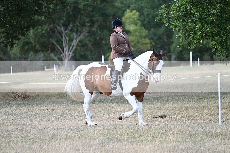 WJ7_6831 - Class 14 Ridden Coloured