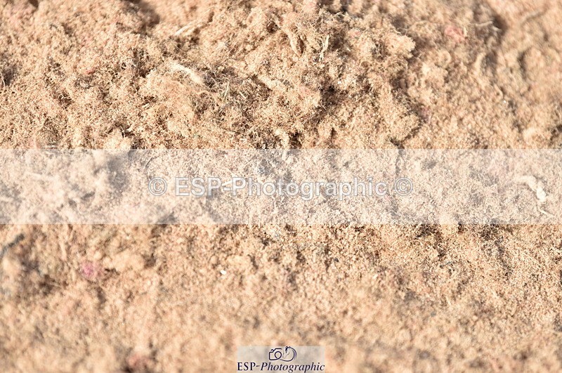 230810A-093846-00112 - Cls 8 British Novice & 90cm Open