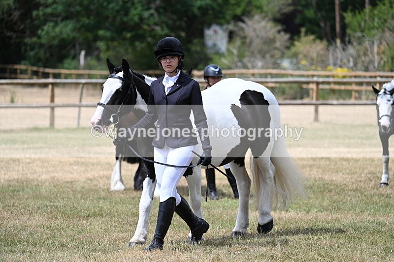 WJ7_1728 - Class 4 Prettiest Mare up to 14.2hh in hand