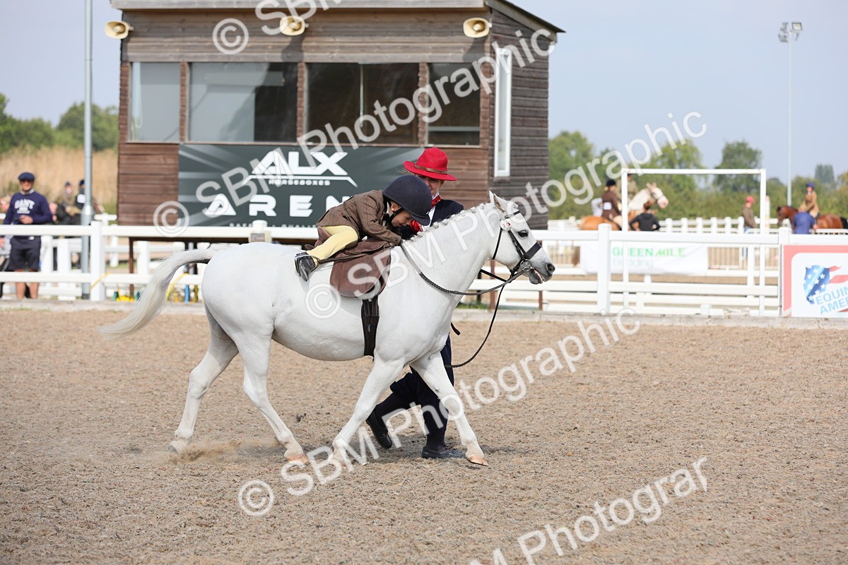 SBM_14027 - Class 309 Lead Rein Pony