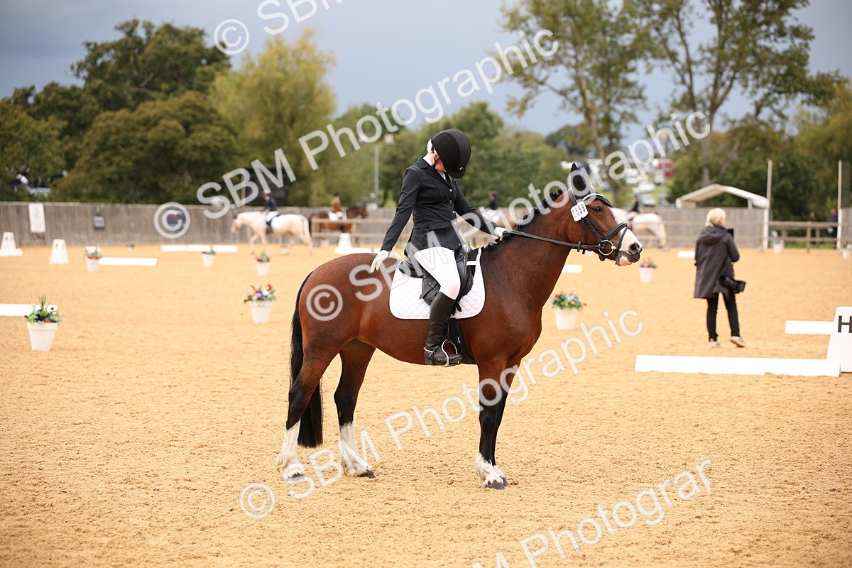 SBM_12239 - D3 Small  Tour Championship Intro A
