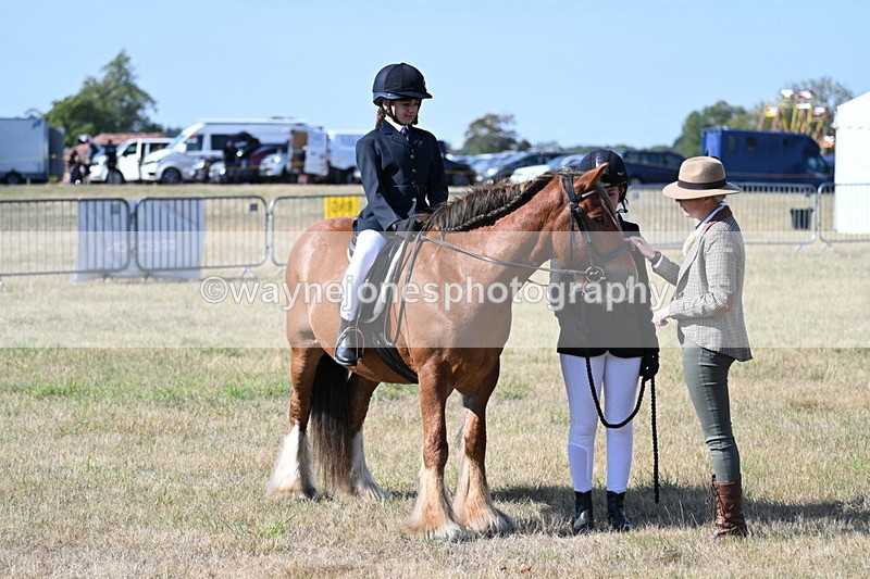 WJ7_2975 - Class 8 Ridden Tack & Turnout