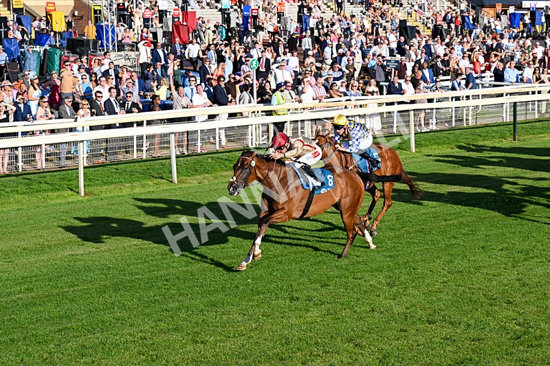 240726-Race 4-Rajaking-0429 - Race 4 19.15pm Tomahawk Handicap