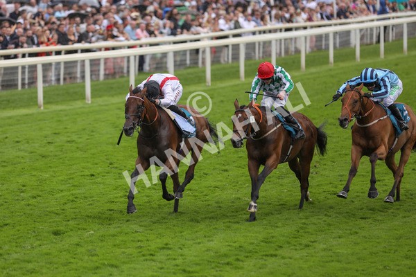 150723-Race 4-Hamish-8834 - Race 4 3.45pm John Smith's Silver Cup Stakes