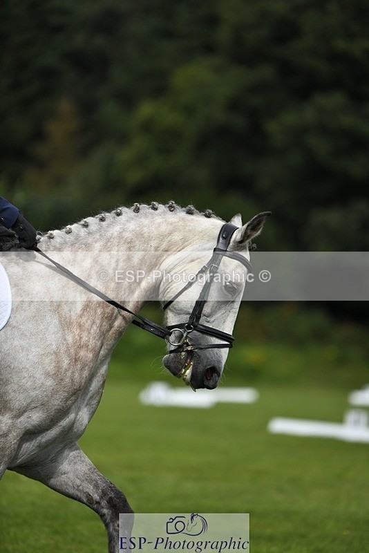 230826-112133-15838 - Sections C & D 10 to End