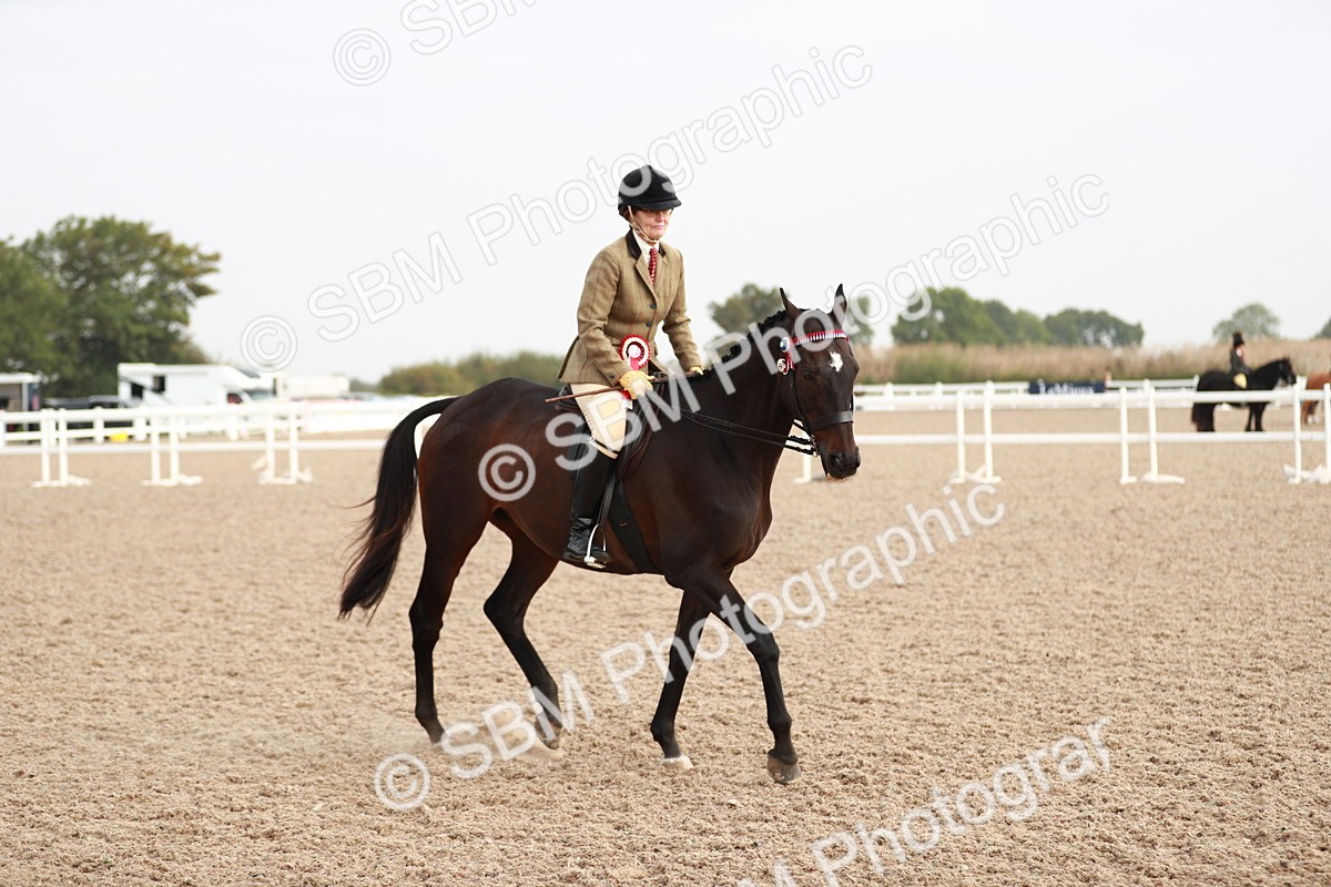 SBM_09466 - Class 202 Best Turned Out Ridden