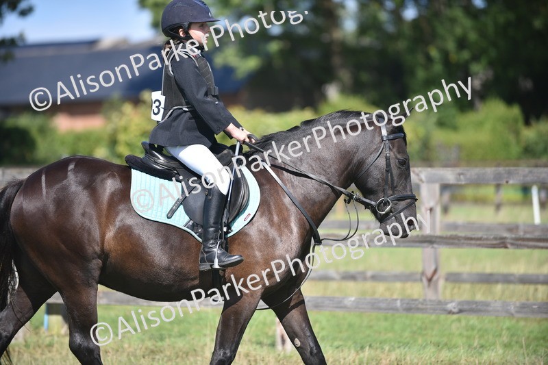 20260906-1701 - Class 9 - Absolute Novice Jumping 45cm