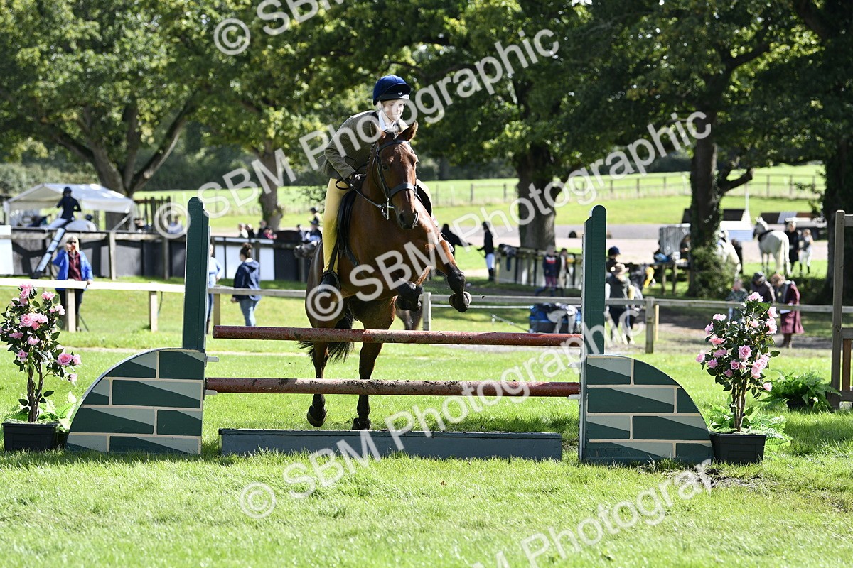 SBM_45713 - S33 - Working Hunter Pony