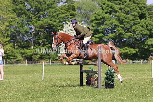 IMG_4883 - Working Hunter