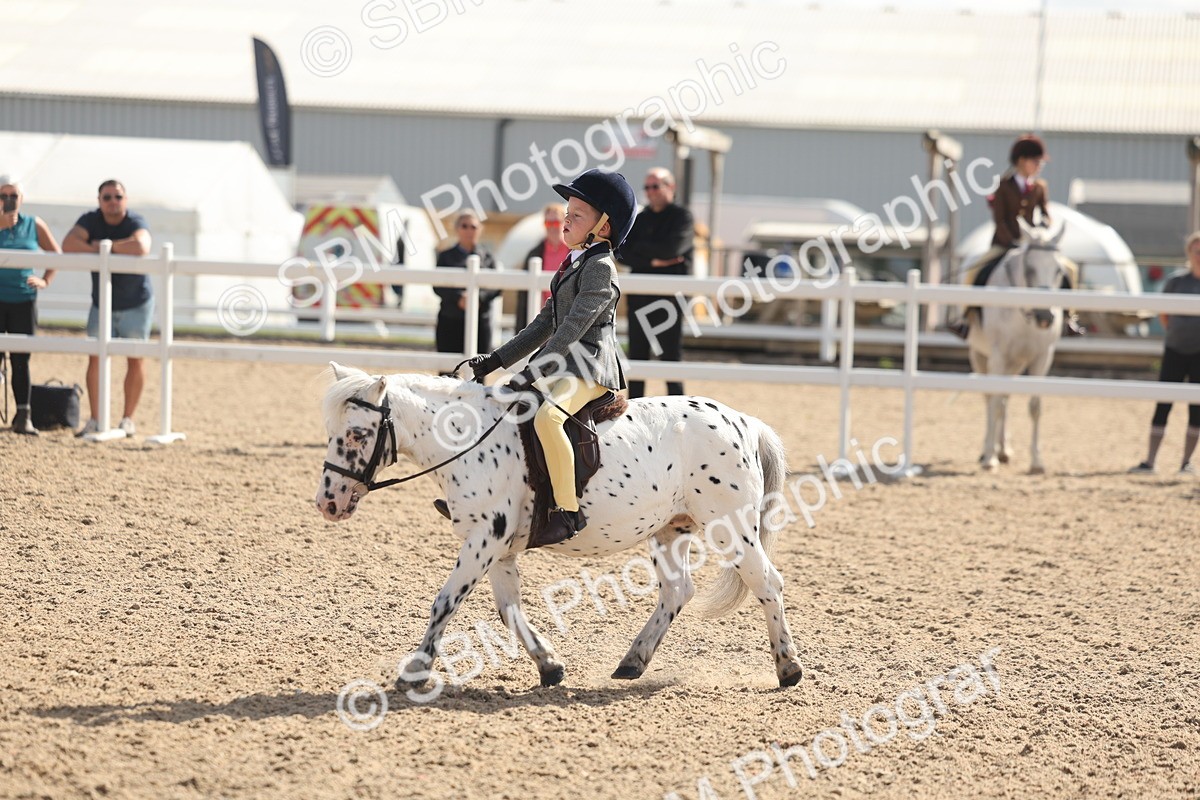 SBM_23131 - Class 806 - Young Rider 10ry and Under