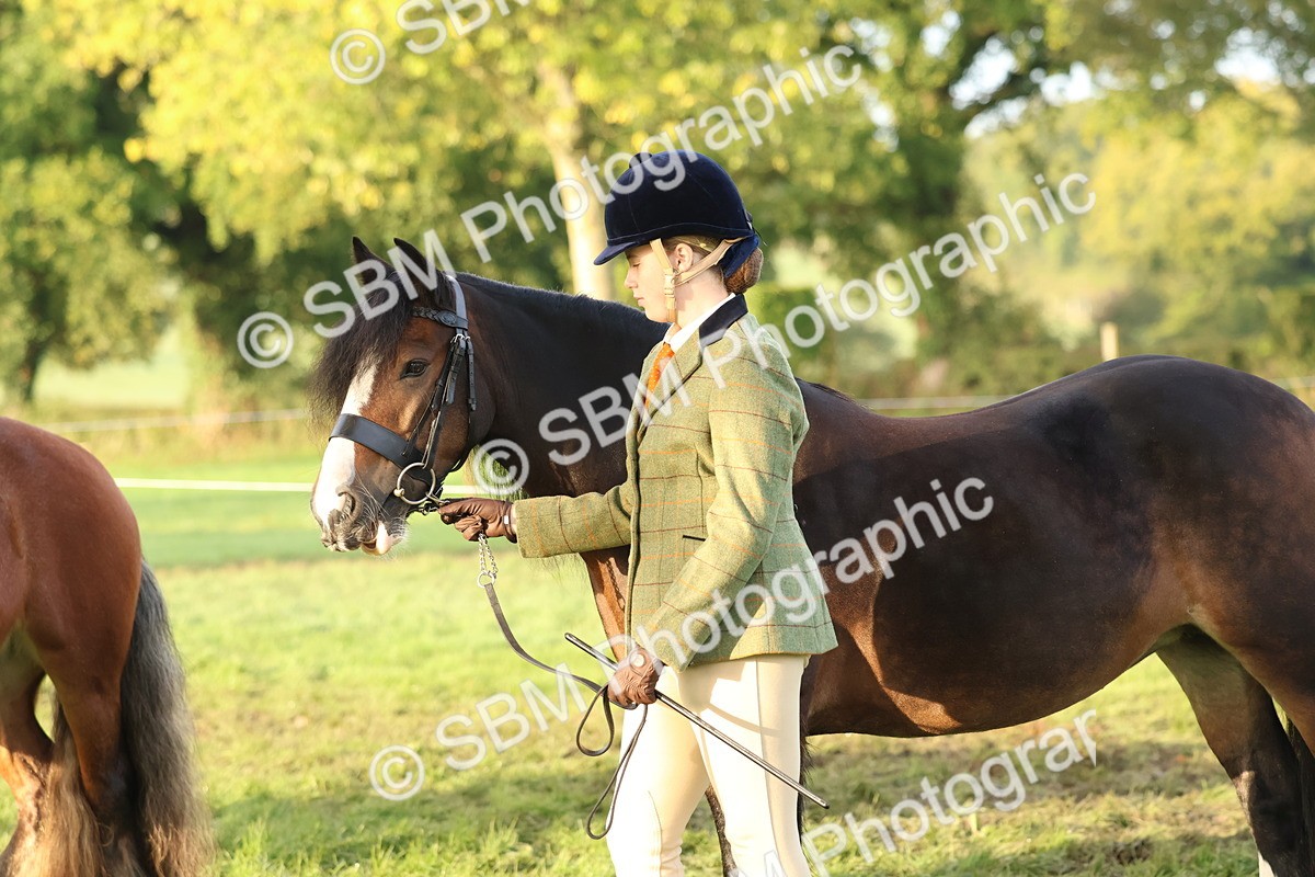 SBM_54553 - S38 - Starters Best Turnout