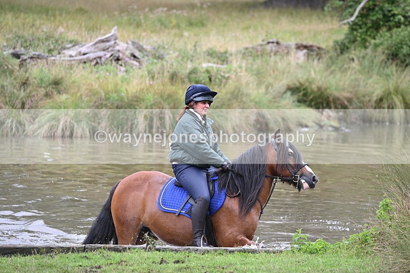 WJ7_5782 - Time at Water 14:54 to 15:14
