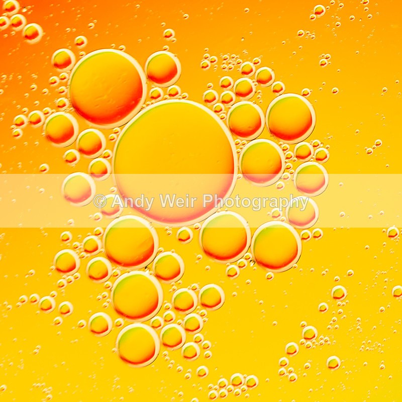 20140204-3K8A8678 - Oil & Water