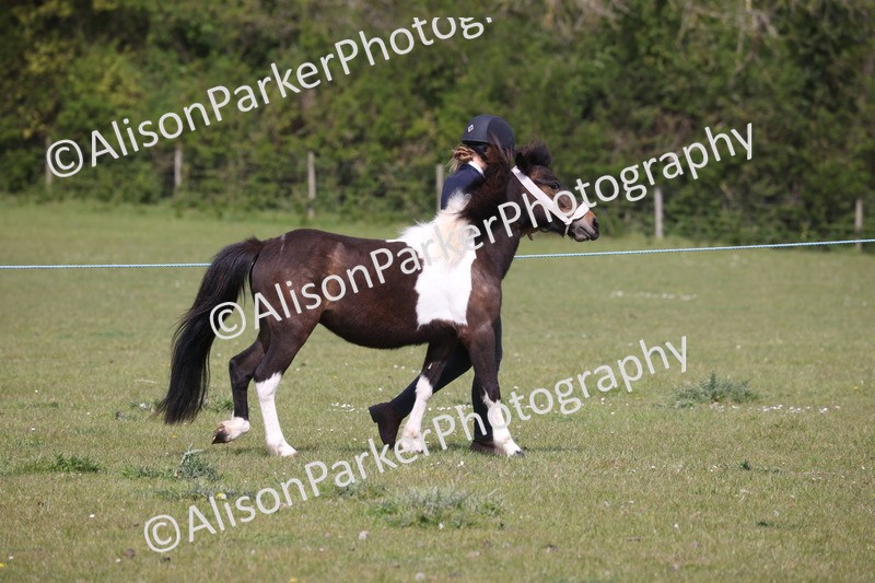 20260426-3268 - Class 27 - Coloured Horses and Ponies